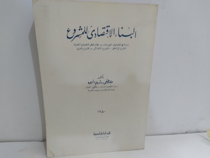 البناء الاقتصادى للمشروع