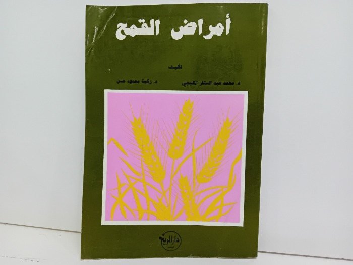 امراض القمح