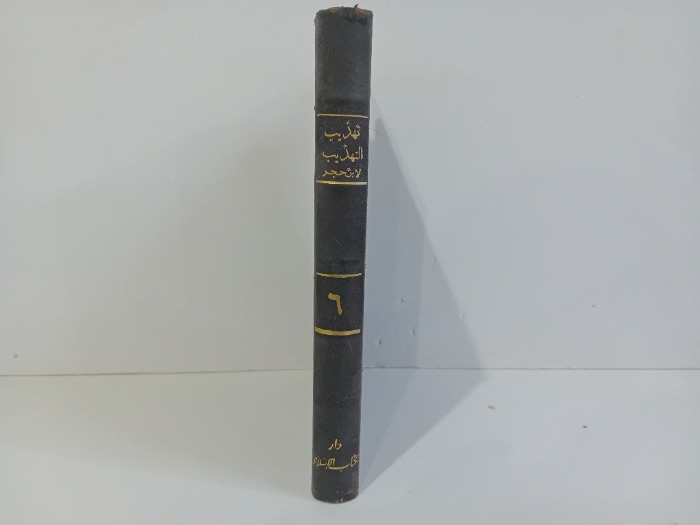 تهذيب التهذيب ج6