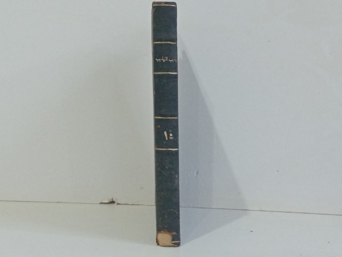 تهذيب التهذيب ج10