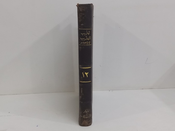 تهذيب التهذيب لابن حجر ج12