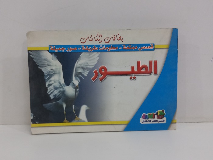 بطاقات الكائنات الطيور