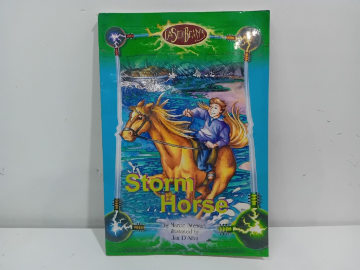 Storm  Horse