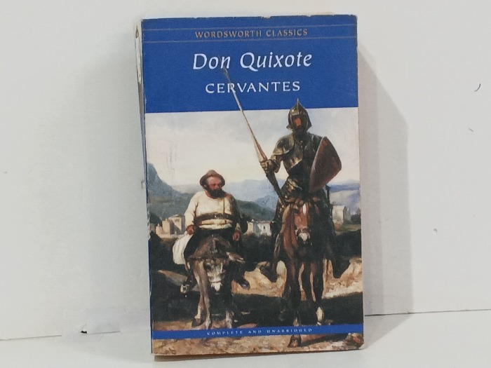 Don Quixote Cervantes 