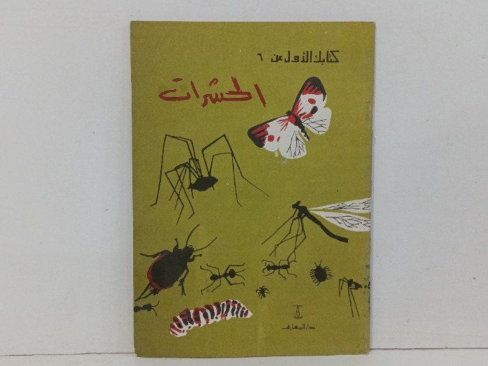 الحشرات 