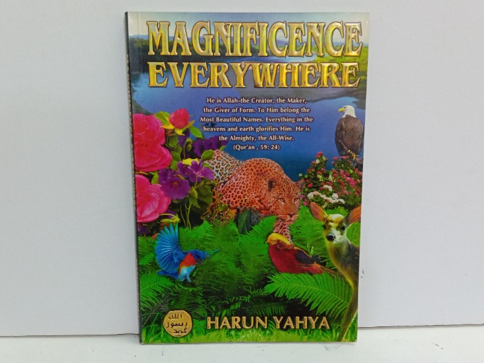 MAGNIFICENCE EVERYWHERE