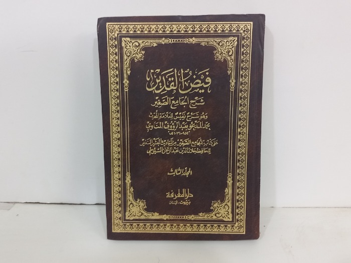 فيض القدير ج3