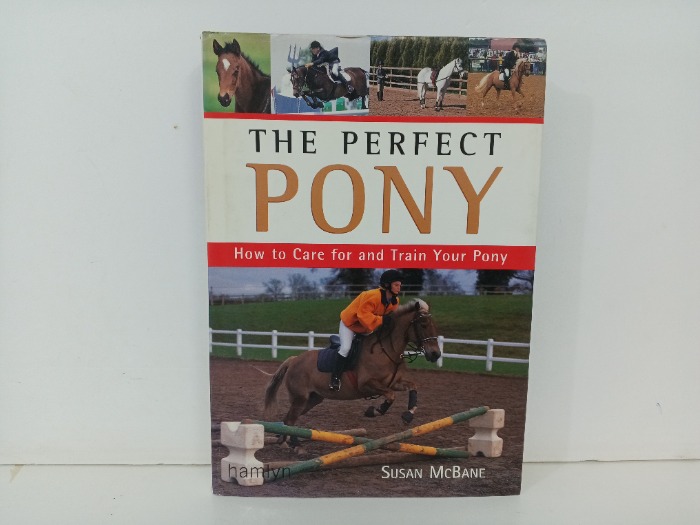 THE PERFECT PONY