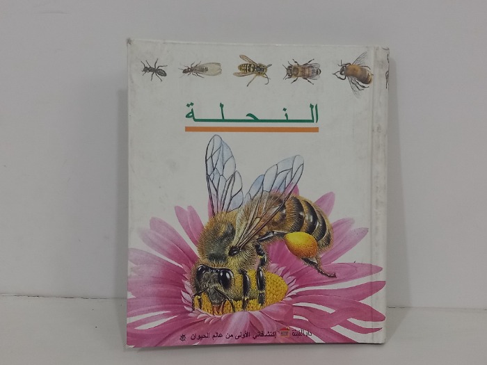 النحلة