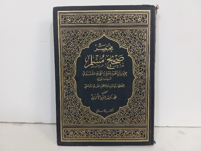 مختصر صحيح مسلم 