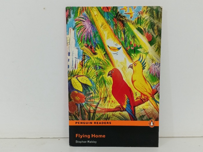 Flying home