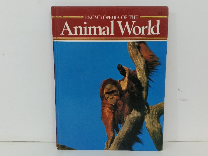 Animal world 