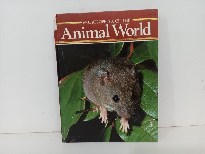 Animal world 