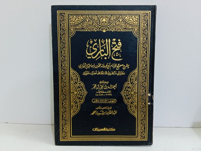 فتح الباري ج13