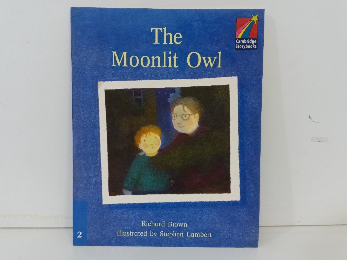 The Moonlit Owl