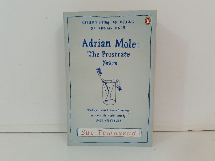 Adrian Mole  The Prostrate Years