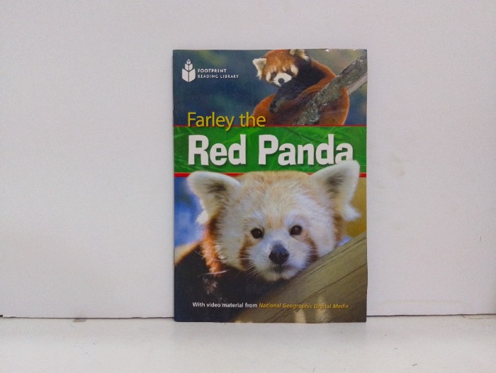 Farley the red panda 