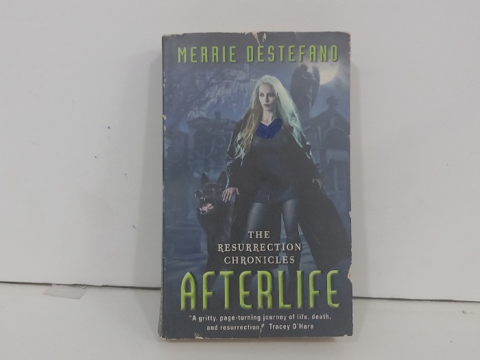 AFTERLIFE