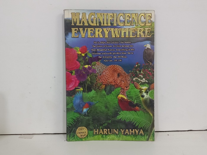 MAGNIFICENCE EVERYWHERE