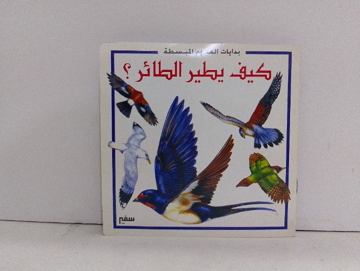 كيف يطير الطائر 