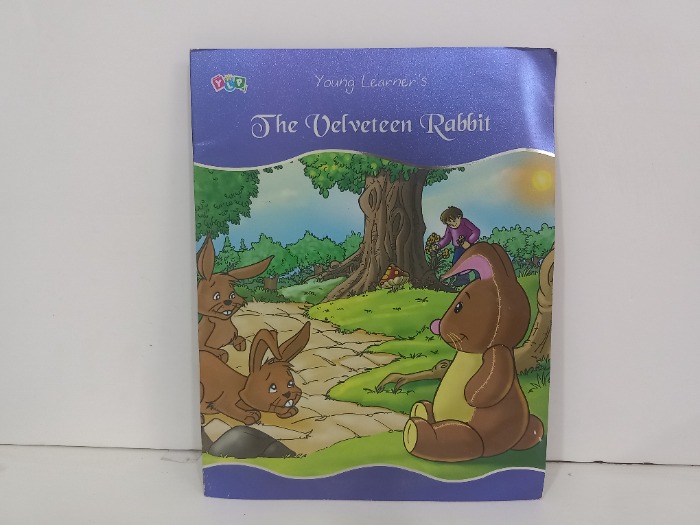 the Velveteen Rabbit