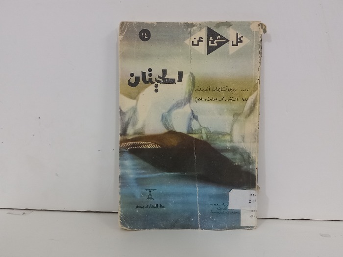 كل شيء عن الحيتان