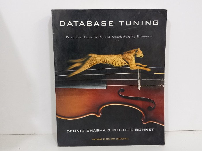 DATABASE TUNING