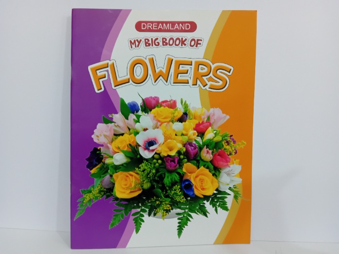 MY BIG BOOK OF FLOWERS