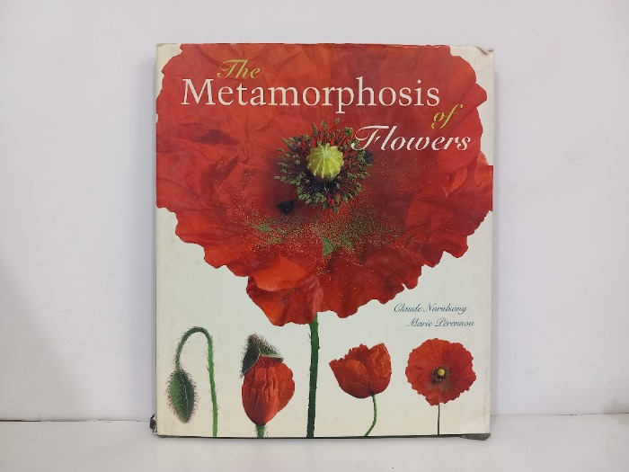 The Metamorphosis of 