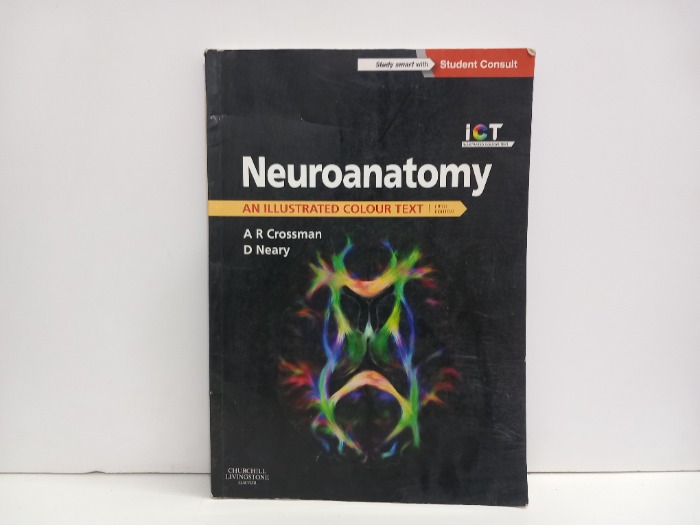 Neuroanatomy