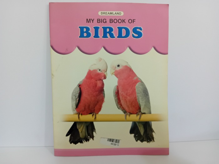 BIRDS