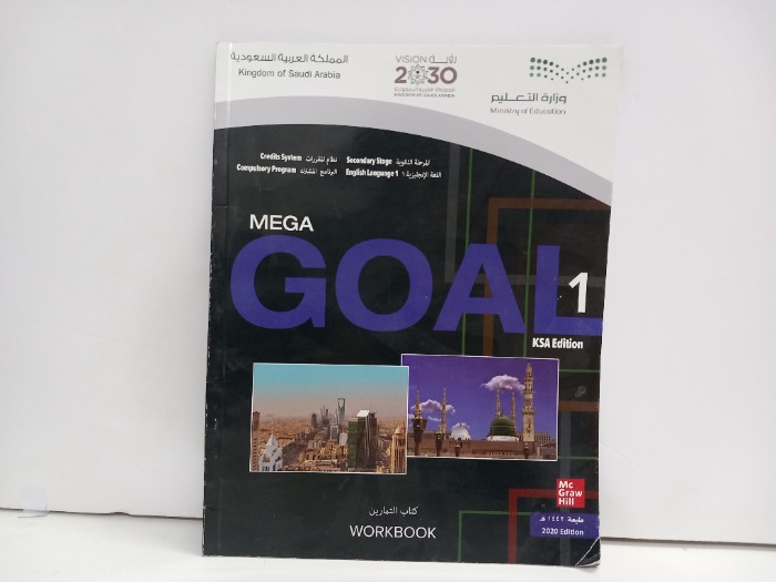MEGA GOAL 1