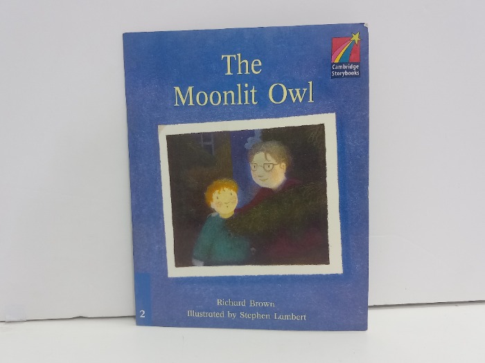 The Moonlit Owl