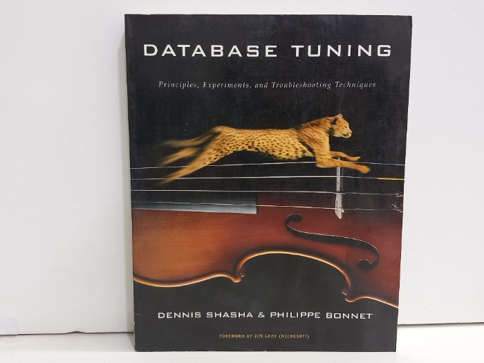DATABASE TUNING