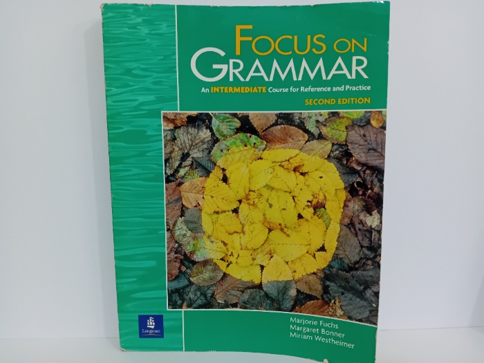 Focus on Grammar