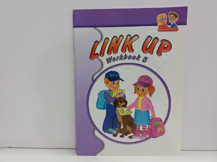 LINK UP WORKBOOK 5