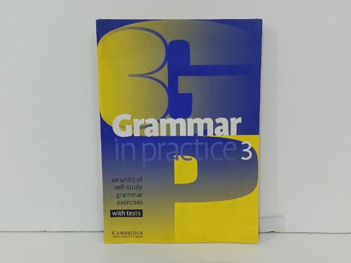 Grammar in Practice 3