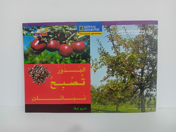 البذور تصبح نباتات