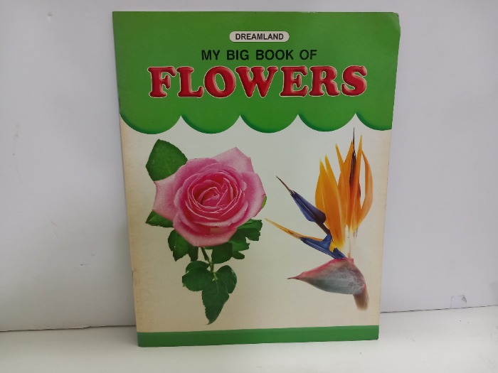 MY BIG BOOK OF FLOWERS