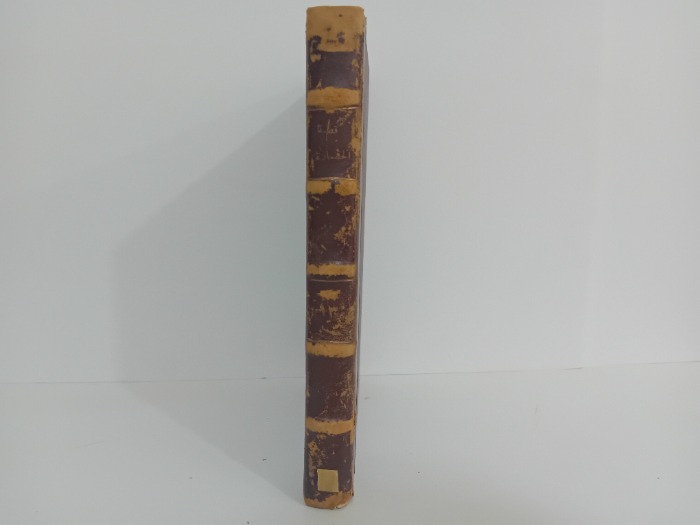 قصة الحضارة ج2