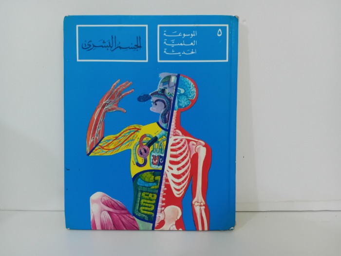 الجسم البشري