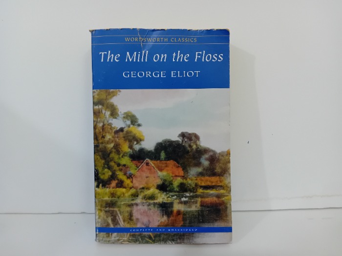 The Mill on the Floss