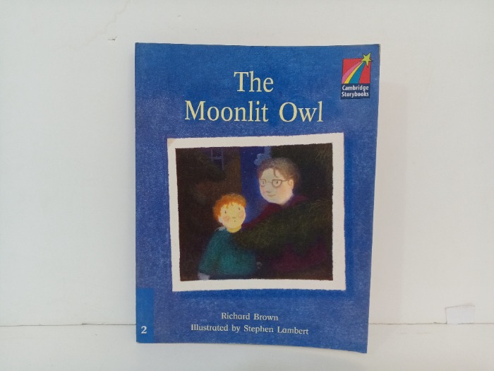 The Moonlit Owl