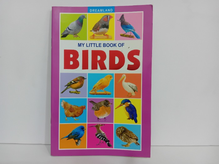 BIRDS