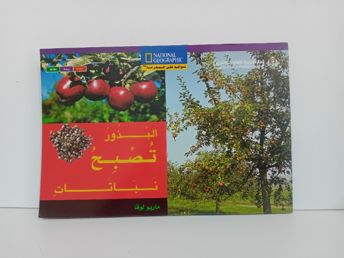 البذور تصبح نباتات