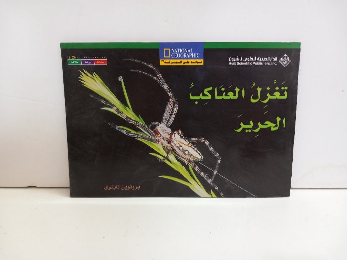 تغزل العناكب الحرير