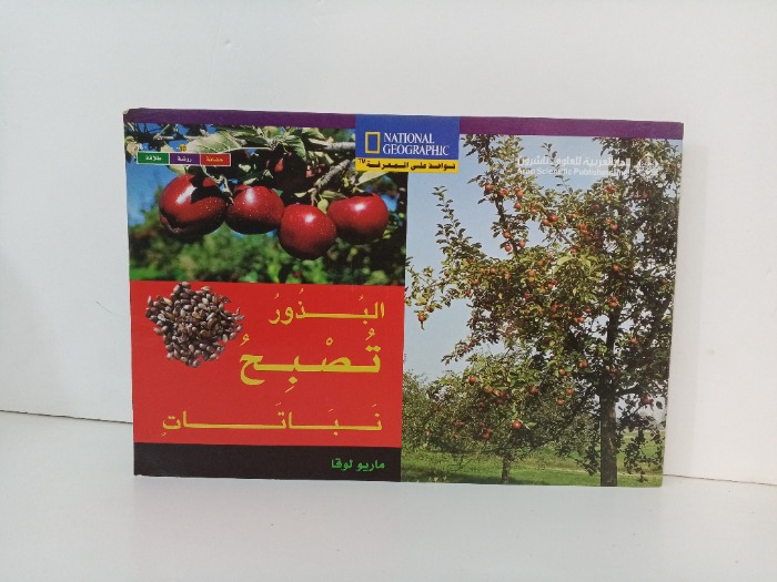 البذور تصبح نباتات 