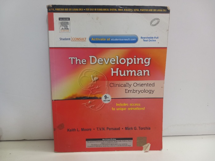 The Developing Human