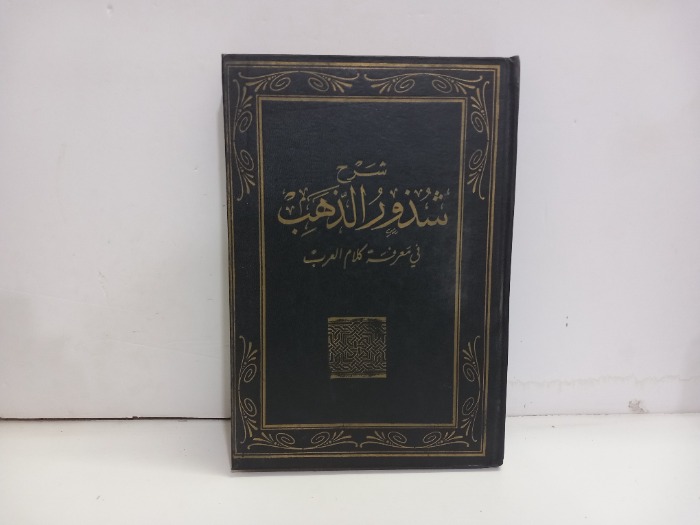 شرح شذور الذهب في معرفة كلام العرب