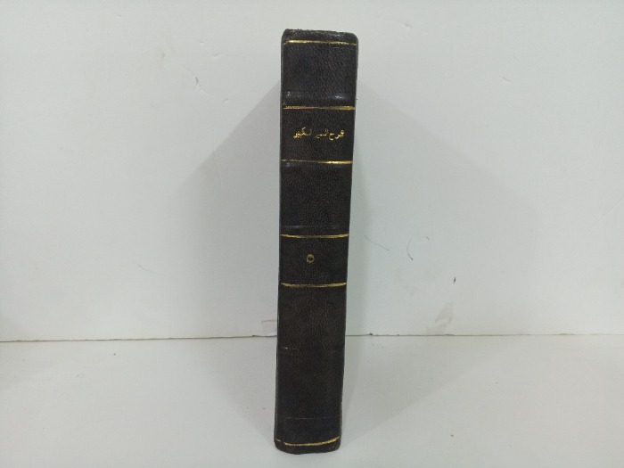 كتاب السير الكبير ج5